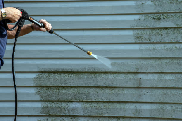 Best Residential Pressure Washing Services  in Locust Fork, AL