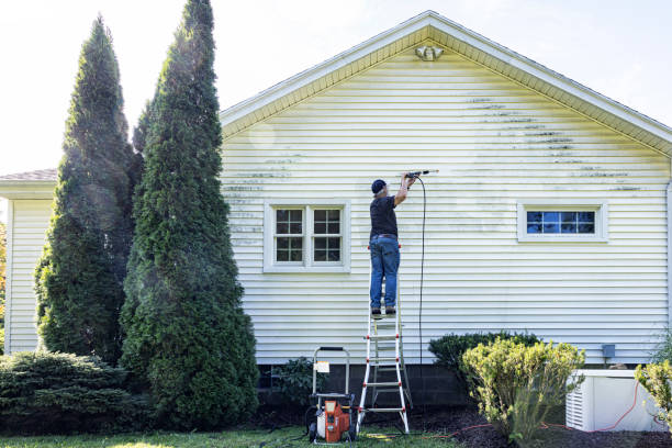 Why Choose Our Certified Pressure Washing Experts for Your Project Needs in Locust Fork, AL?