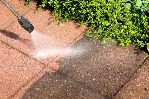 Best Local Pressure Washing Services  in Locust Fork, AL